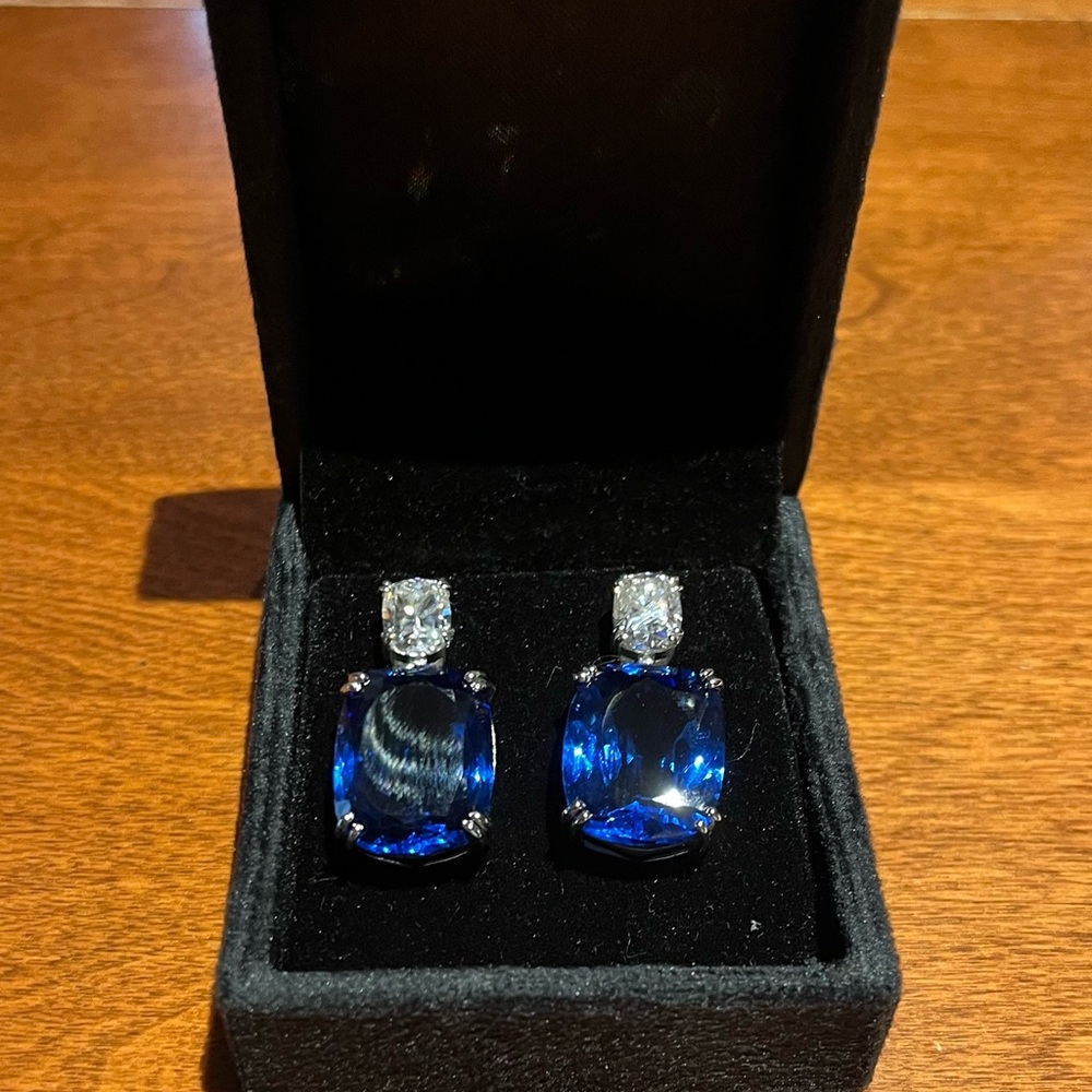 Elegant Art Jewelry Earrings